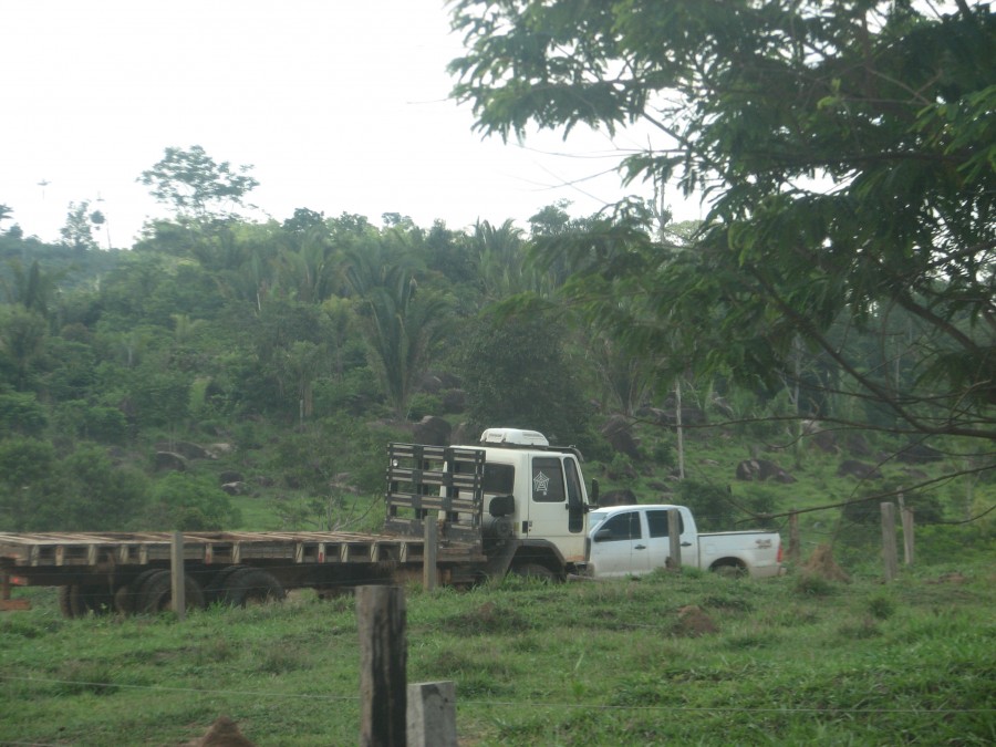 photo of logging truck