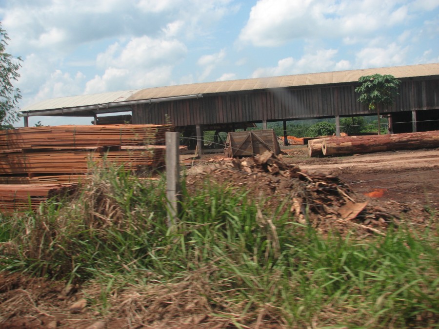 photo of logging mill