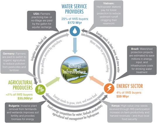 Nexus Investments in Natural Infrastructure for Energy, Agriculture, and Water