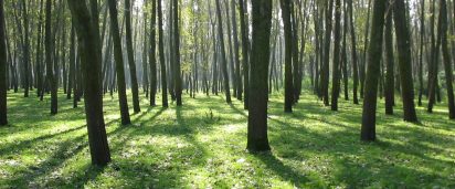 Carbon Markets