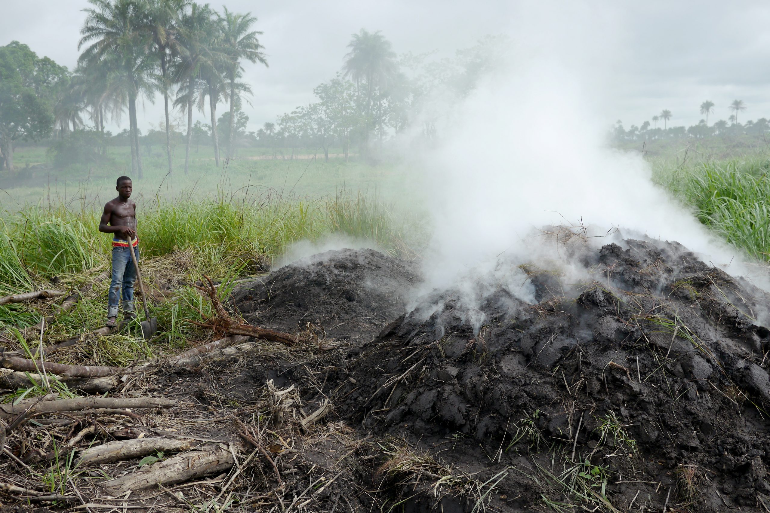 Charcoal An Important Driver of Deforestation in Africa