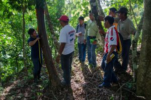 Forest engineer, Yoni Sima, wrapping a tape measure around a tree, works with students. Photo credit: Carlos Herrera