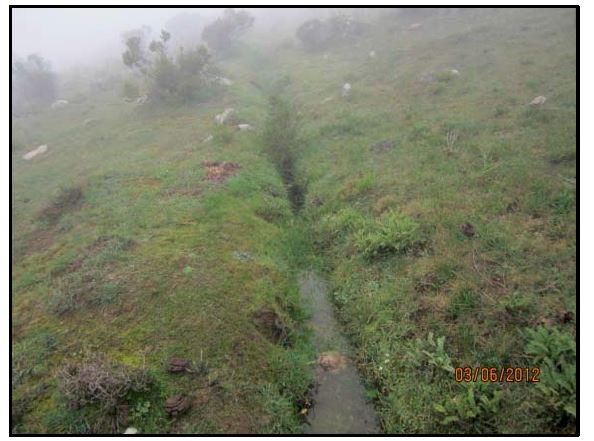 An infiltration ditch sponges up water that would otherwise surge down the mountainside. (Photo Credit: Sonja Bleeker)