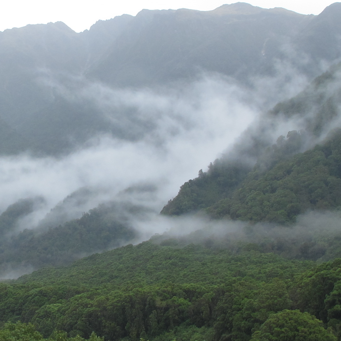 Emission trading system new zealand