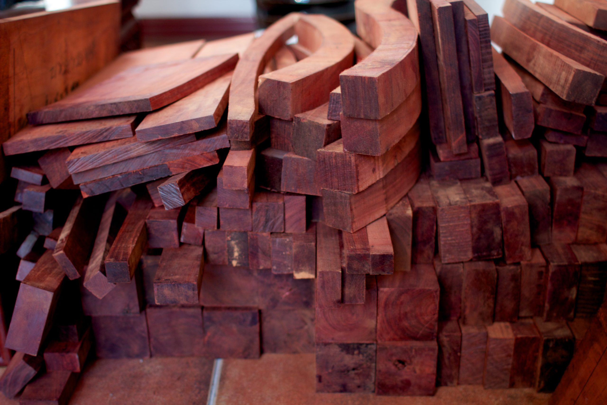 cites-species-protections-can-help-solve-rosewood-crisis