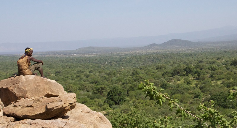 Yaeda valley
