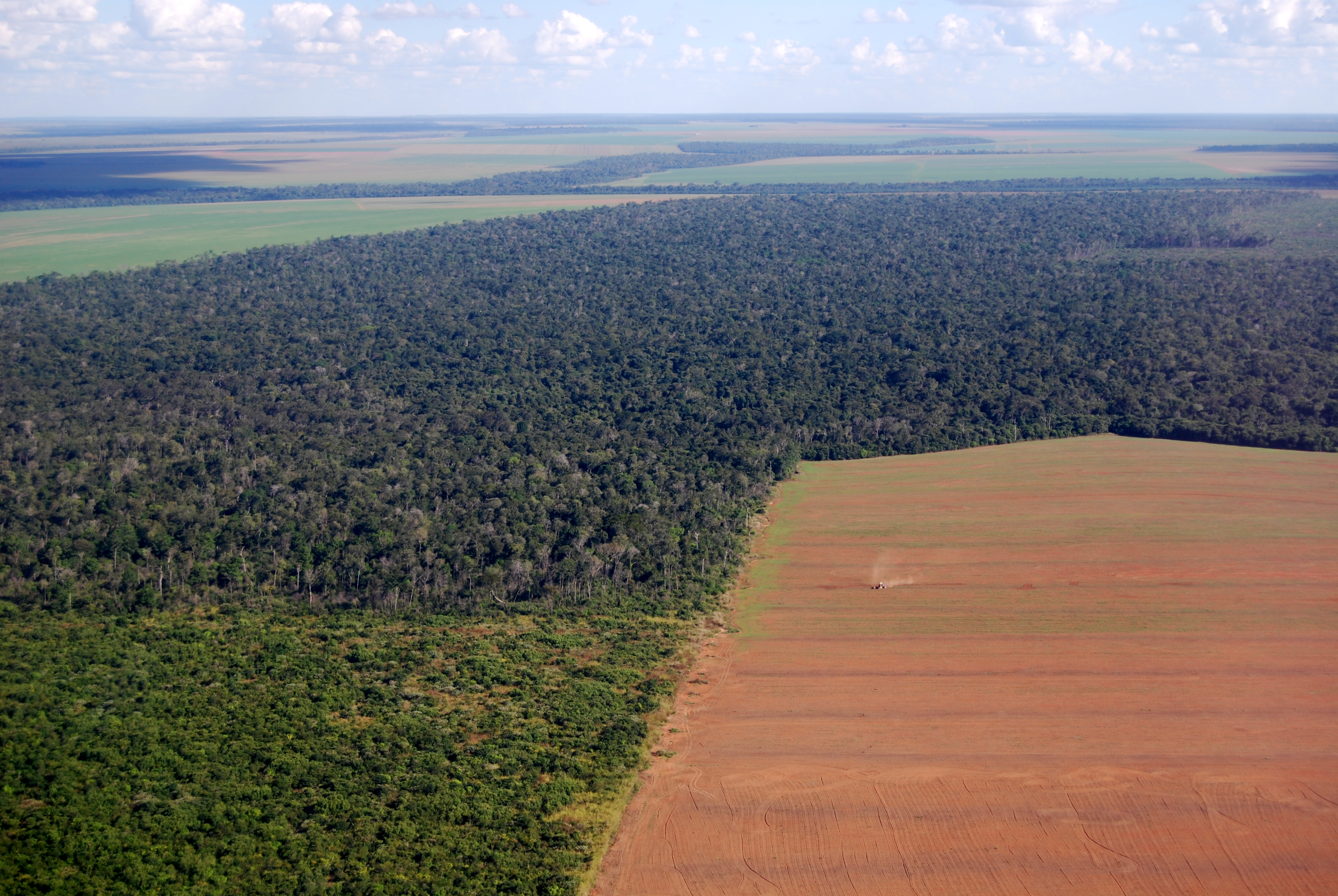 Forest Trends shows the link between commercial agriculture and illegal deforestation