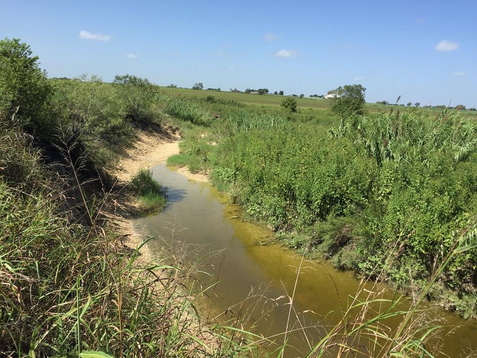 The Finished Product: A Section of Restored Stream