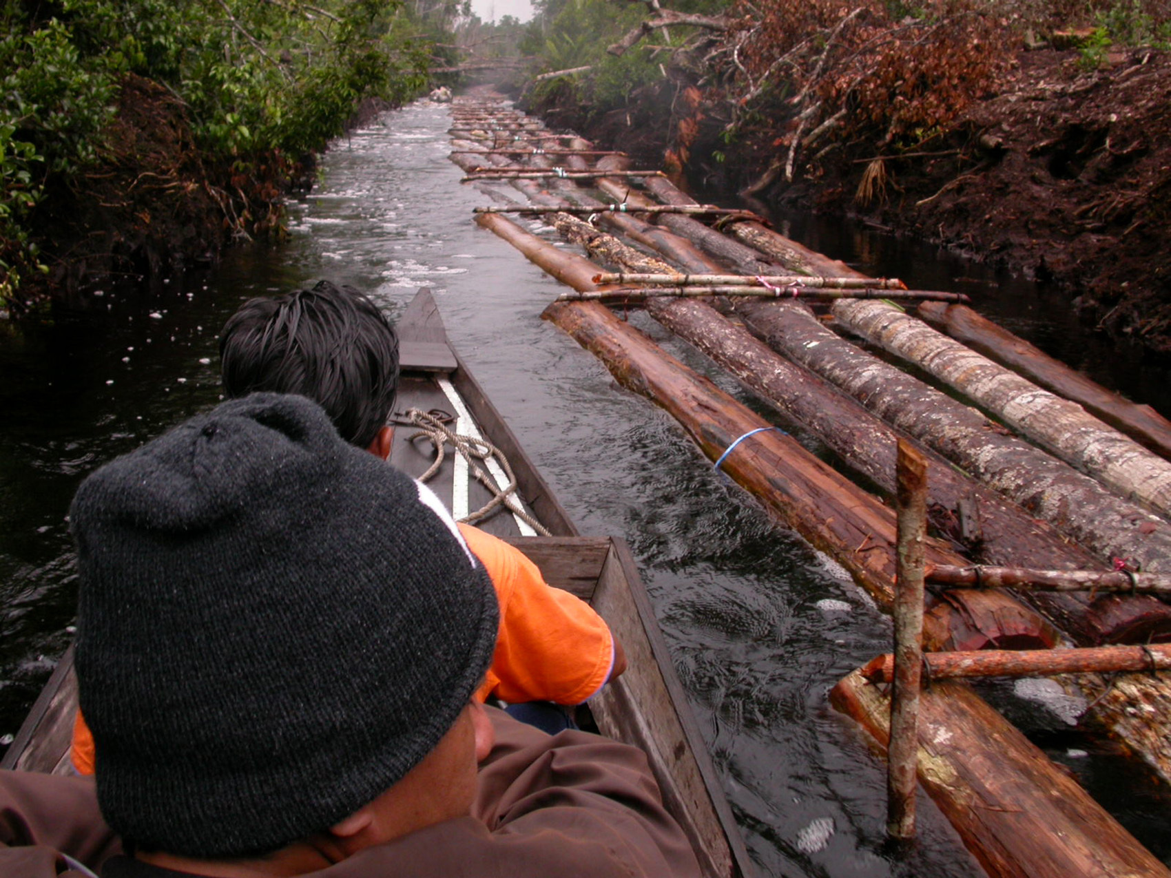 Dutch Court Ruling Helps Curb Illegal Timber Trade - Forest Trends