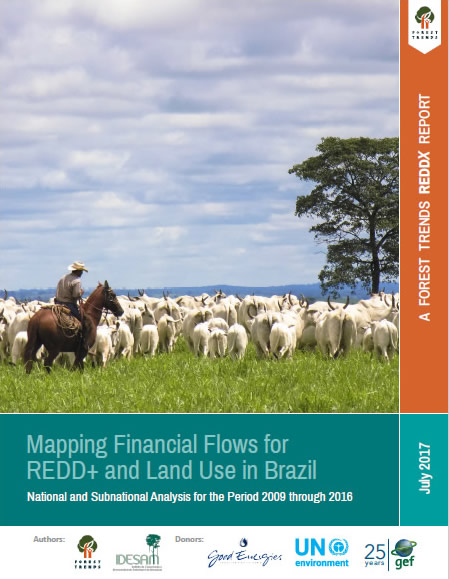 Mapping Financial Flows for REDD+ and Land Use in Brazil (Portuguese ...