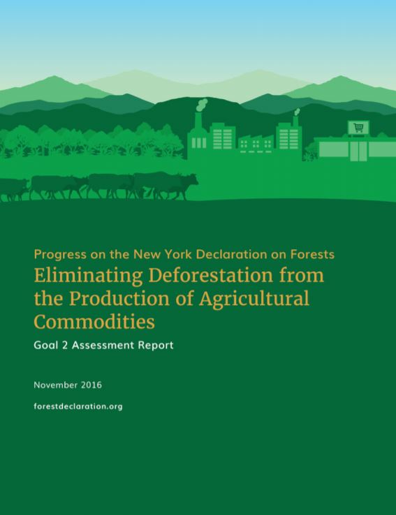 Progress on the New York Declaration on Forests Eliminating