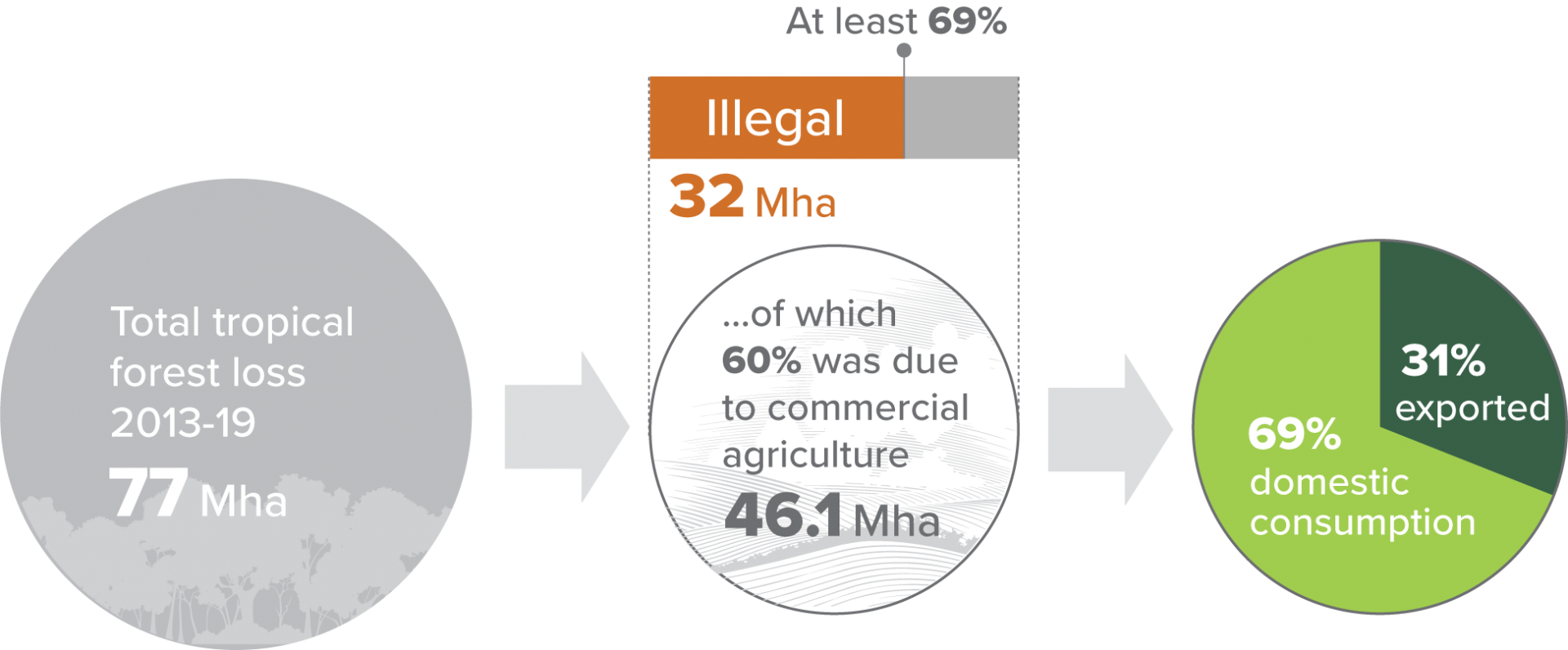Illicit Harvest, Complicit Goods - Forest Trends