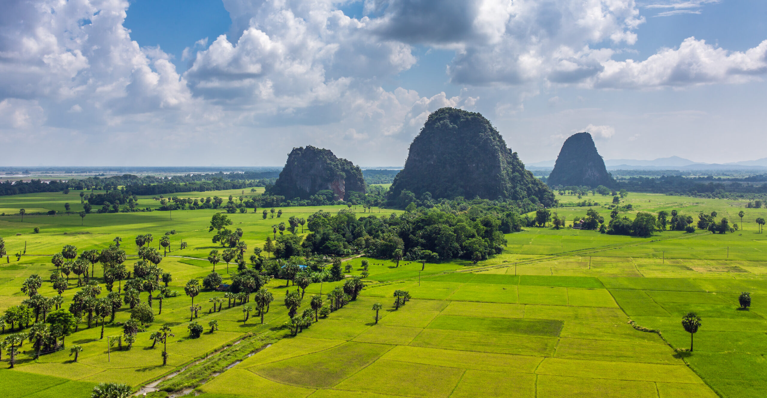 China and Brazil have a joint commitment to end illegal deforestation driven by trade. What does this mean for major importers like the EU, UK, and US? - Vimarsana News