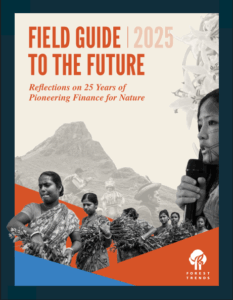 Publication Thumbnail