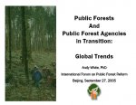 Publication Thumbnail